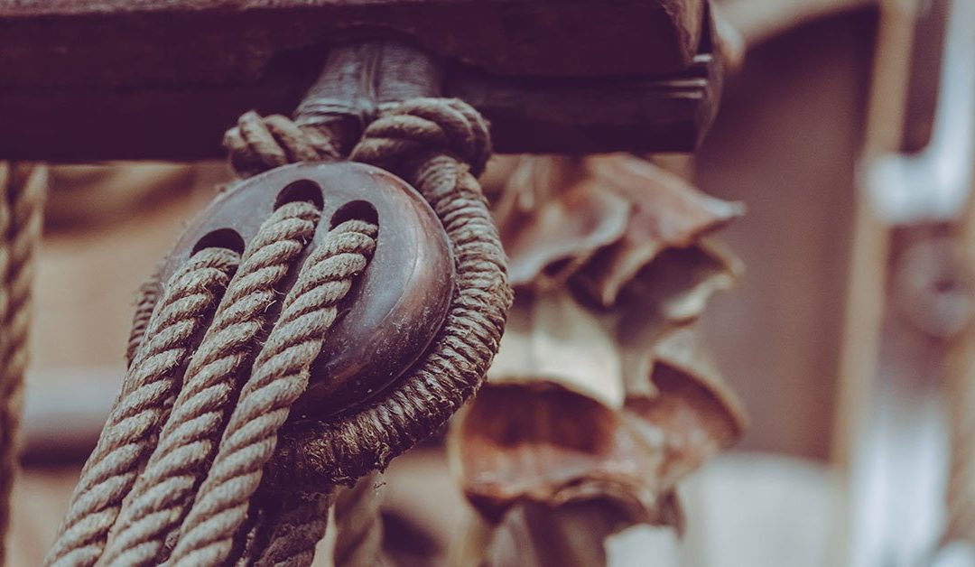 Ora mangiare bene a Fiumicino è un’esperienza unica