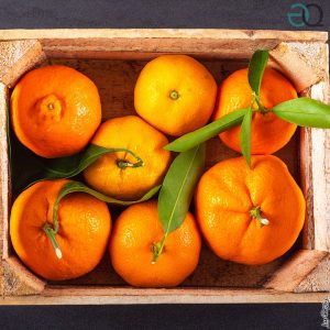 migliori bar ladispoli