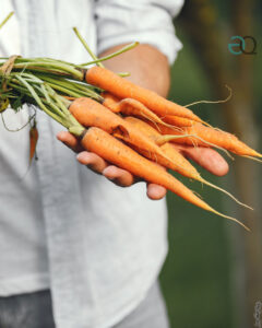 healthy food fiumicino
