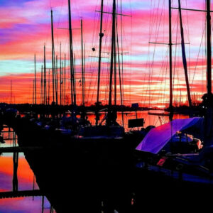 RISTORANTE PESCE OSTIA