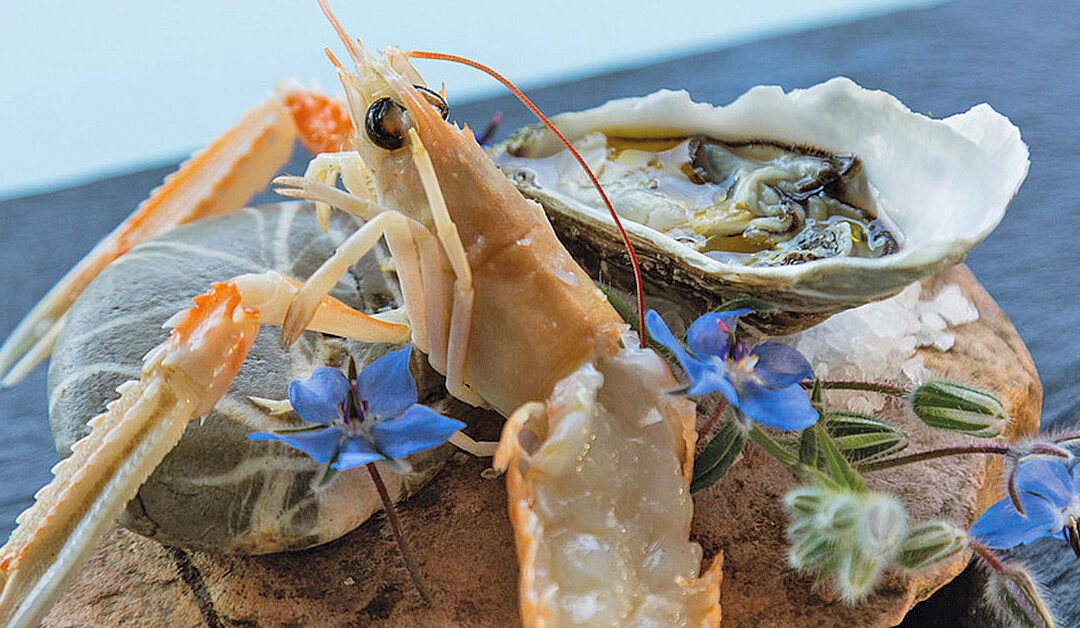 CRUDI COTTI & BOLLICINE