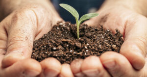 ristorante ecosostenibile ostia